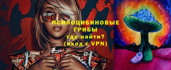 ГАЛЛЮЦИНОГЕННЫЕ ГРИБЫ Михайловка