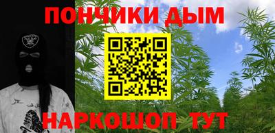 твердый Бердск