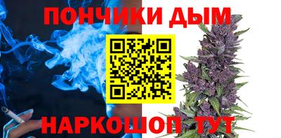твердый Бердск