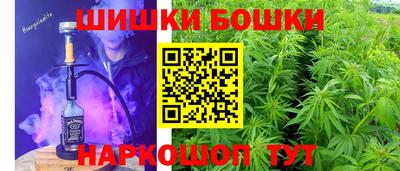 твердый Бердск