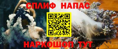 твердый Бердск