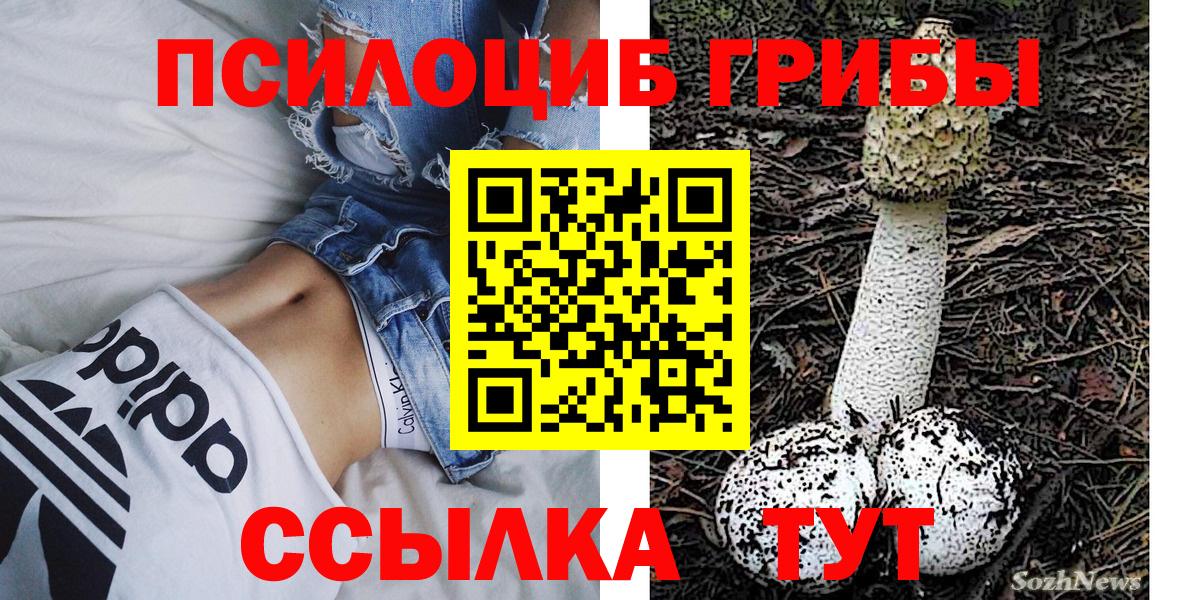 Галлюциногенные грибы мухоморы Борзя
